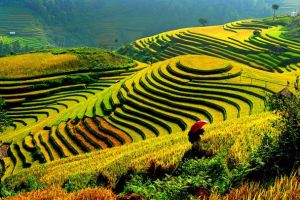 23 Days Grand Vietnam Tour