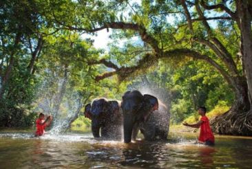 Thailand Tours