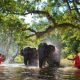 Thailand's Culture, Nature & Wonders Tour