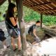 Cuchi Tunnels Tour From Cruise Ship